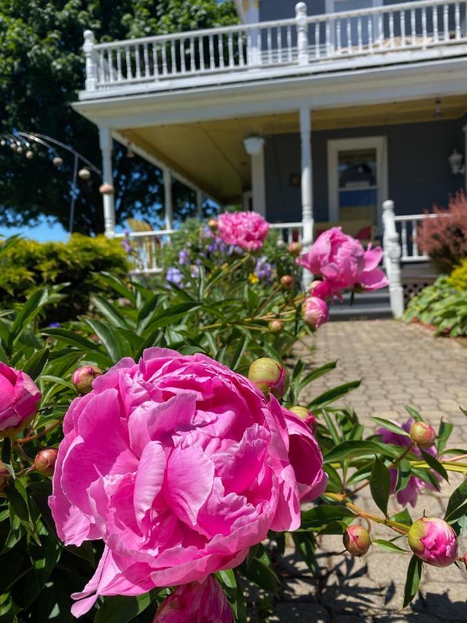 Toba'S Bed & Breakfast Lunenburg Esterno foto