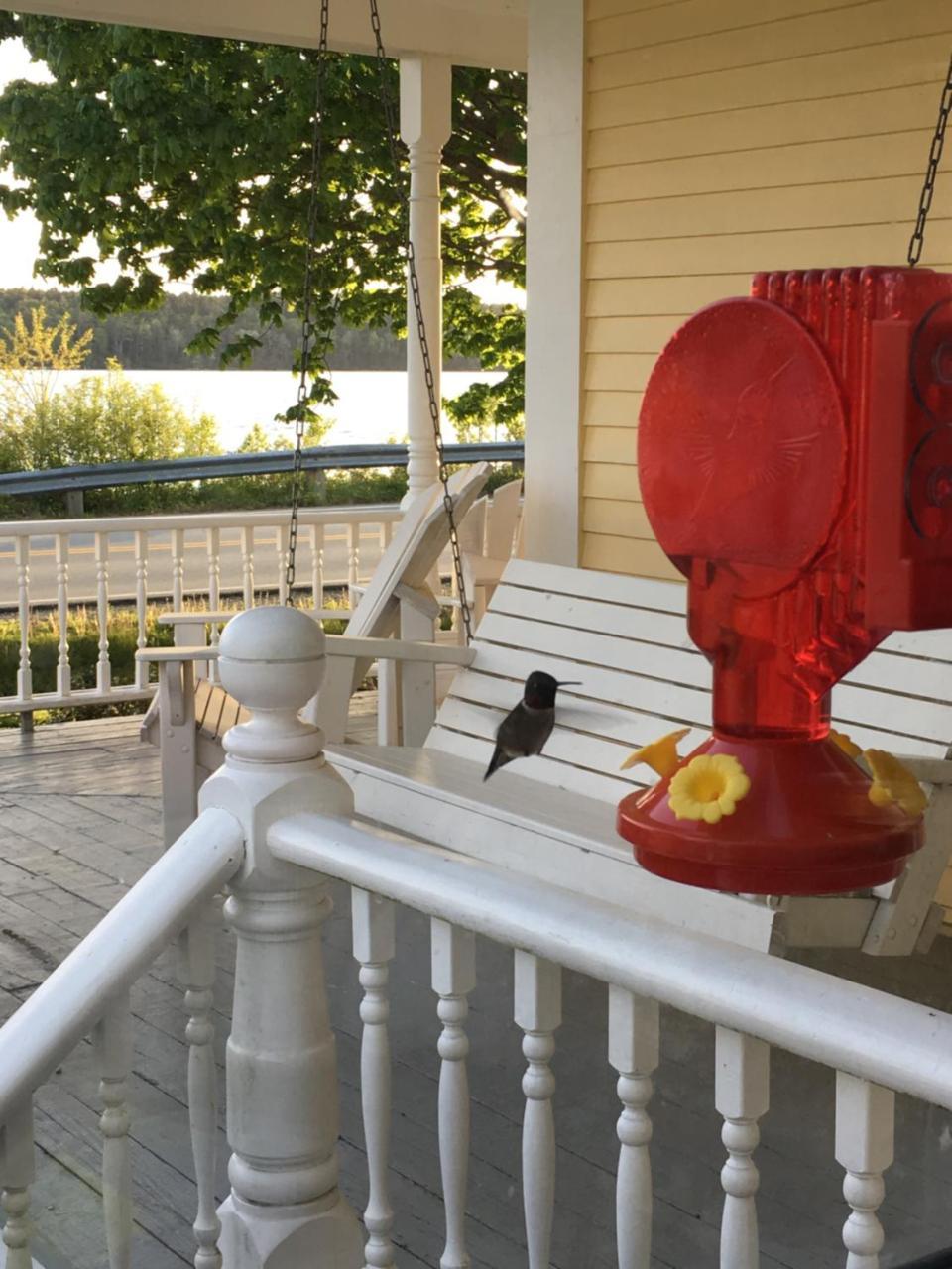 Toba'S Bed & Breakfast Lunenburg Esterno foto